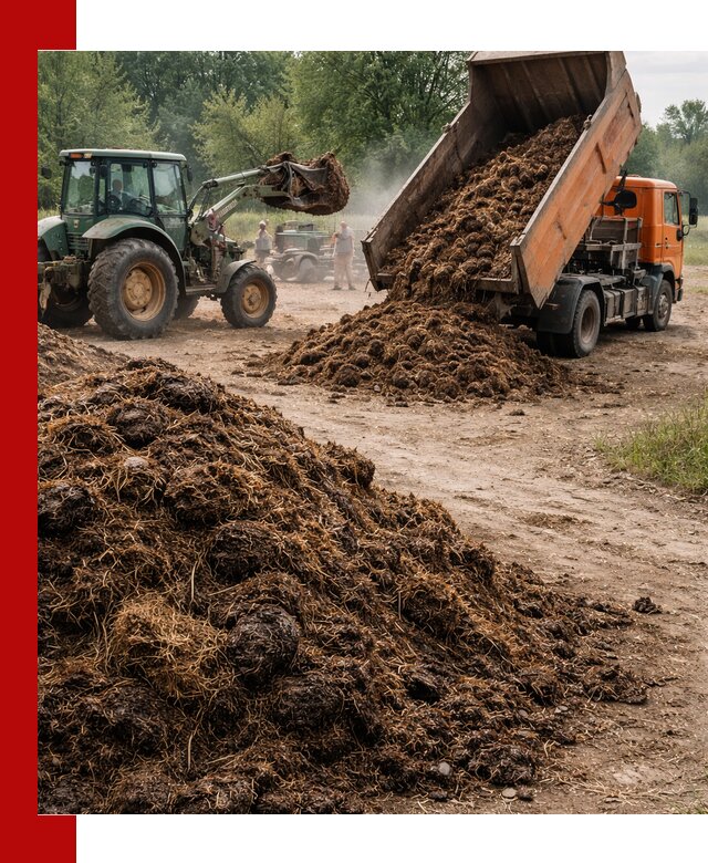 Доставка навоза самосвалами в Дивногорске для сельхозпотребностей